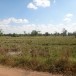 ประวัติบ้านหนองแวง