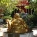 พระสังกัจจายน์