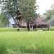 กลุ่มชาติพันธุ์ลาวครั่ง ในเขตพื้นที่จังหวัดสุพรรณบุรี