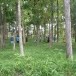 ศูนย์การเรียนรู้บ้านยางตะพาย 