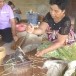 การจักสานผลิตภัณฑ์จากต้นคล้า