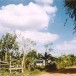 ตำบลขวาวใหญ่