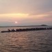 ประเพณีการแข่งเรือของชาวบ้านท่าวัดเหนือ