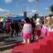 การแข่งขันเรือยาวประเพณีลำน้ำปิง