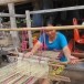 นางสุภัทร  อัสสาภัย