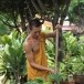 พระอธิการบรรเจิด  เจ้าอาวาสวัดคลองสวน   