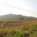 บ้านสันป่าแดง