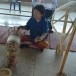 ประเพณีจุลกฐิน งานเก็บดอกฝ้ายบานสืบสานงานทอผ้ากฐิน