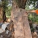 โนนหนองบัว ตำบลน้ำปลีก