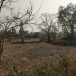โนนหนองบัว ตำบลน้ำปลีก