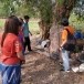 โนนหนองบัว ตำบลน้ำปลีก