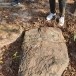 แหล่งโบราณคดีบ้านหนองจอก 