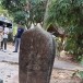 แหล่งโบราณคดีบ้านหนองจอก 