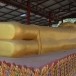 หลวงพ่อโต(พระพุทธรูปปางไสยาสน์)