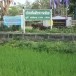 บ้านสันผักหวานน้อย