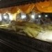 หลวงปู่สรวง  วัดไพรพัฒนา อำเภอภูสิงห์