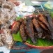 ปลาดุกย่าง 