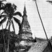 พิธีถวายข้าวพีชภาคและบุญเสียค่าหัวข้าโอกาสพระธาตุพนม