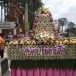 องค์การบริหารส่วนตำบลบางลูกเสือ