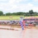 ประเพณีแข่งขันเรือยาวจังหวัดพิจิตร ชิงถ้วยพระราชทานพระบาทสมเด็จพระเจ้าอยู่หัว