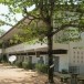 โรงเรียนบ้านหินตั้งโคกก่อง