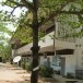 โรงเรียนบ้านหินตั้งโคกก่อง