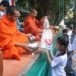 ประเพณีตักบาตรน้ำผึ้ง