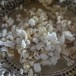 ข้าวตอก