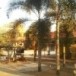 วัดหนองม่วง