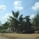 บ้านหนองเดื่อ