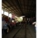 รถไฟสายแม่กลอง