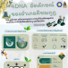 4DNA อัตลักษณ์จันท์ ของอำเภอเขาคิชฌกูฏ