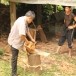 ภูมิปัญญาการเลี้ยงผึ้งโกน  