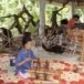 ตำบลโคกเจริญ