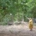 พระครูพิจิตรสิทธิคุณ พหลทัพ เจ้าอาวาสวัดหนองหอไตร อำเภอหนองกุงศรี จังหวัดกาฬสินธุ์