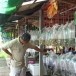 สหกรณ์ประมงผู้เพราะเลี้ยงสัตว์น้ำจังหวัดอุบลราชธานี