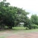 วัดบ้านซับหวาย 