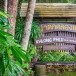 อุทยานแห่งชาติน้ำตกคลองพลู