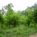 บ้านปลาอีด