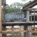 วัดปากคลอง