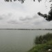 บึงหนองโคตร