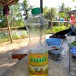 แกงเป็ดกะลามะพร้าว