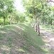 กำแพงเมืองและคูเมืองร้อยเอ็ด