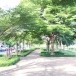 กำแพงเมืองและคูเมืองร้อยเอ็ด