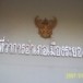 อำเภอเมืองระยอง