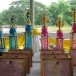 ประเพณีแข่งเรือยาวชิงถ้วยพระราชทาน อำเภอเสาไห้ จังหวัดสระบุรี