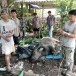 พิธีกรรมป๋างแปด