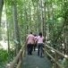 ป่าจำปีสิรินธร