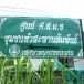 ประวัติชุมชนหัวสะพานสัมพันธ์
