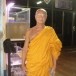 พระครูวิสุทธิ์รัตนาภรณ์ (วัดทุ่งควายกิน)      
